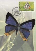 4 عدد کارت پستی تایلند(پروانه)