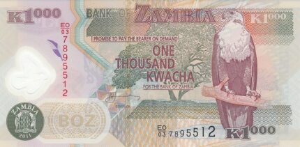 1000 کواچای زامبیا
