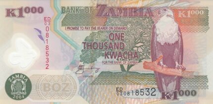 1000 کواچای زامبیا