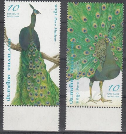 سری طاووس