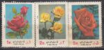 سری گل 1351