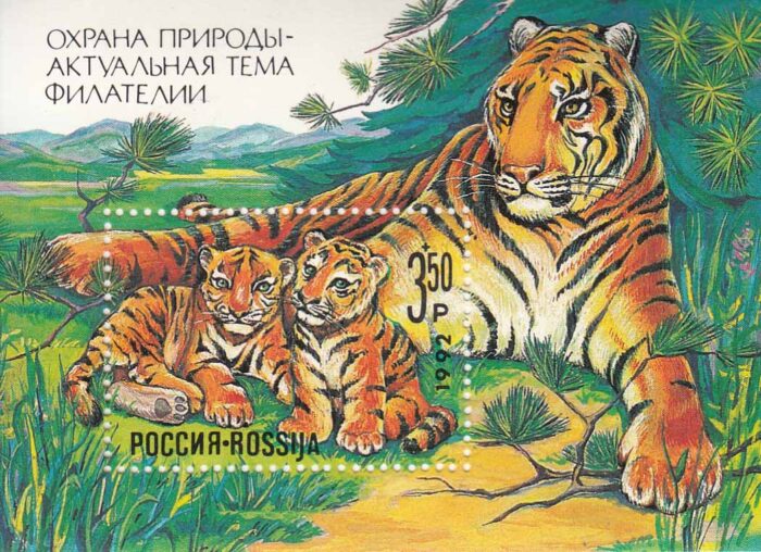 تمبر ببر روسیه