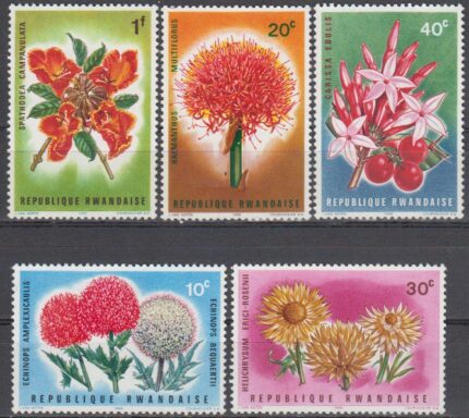 سری گل