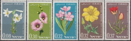 سری گل اسرائیل