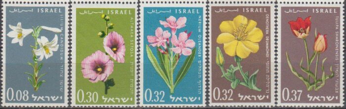سری گل اسرائیل