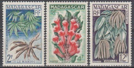 سری گل ماداگاسکار