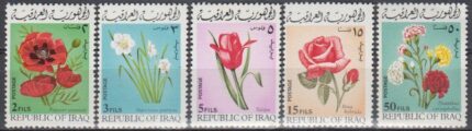 سری گل عراق