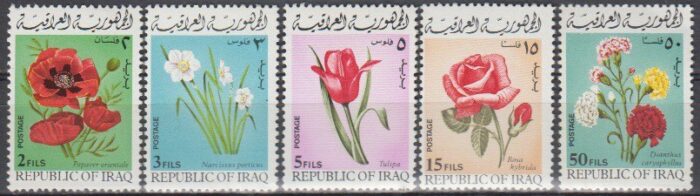 سری گل عراق