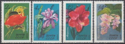 سری گل شوروی