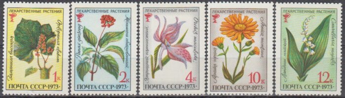 سری گل شوروی
