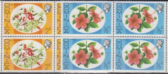 سری گل دومنیکن