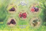 مینی شیت میوه های بهشتی 1399