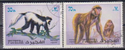 تمبر میمون فجیره